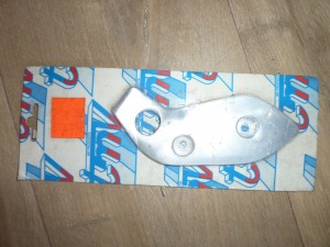(2024)